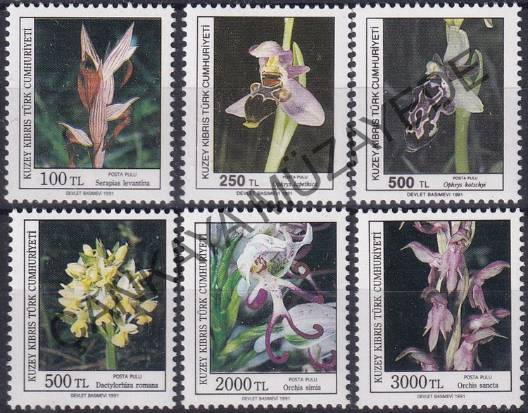 1991 Orkideler 12 SF KT30707 31518 Kat 150 | Çankaya Müzayede | 19912000